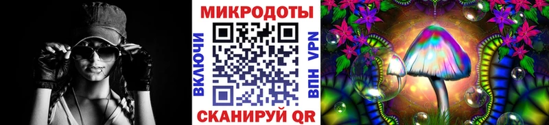 где купить   Олонец  Псилоцибиновые грибы MAGIC MUSHROOMS 
